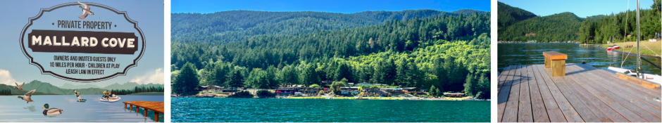 Mallard Cove